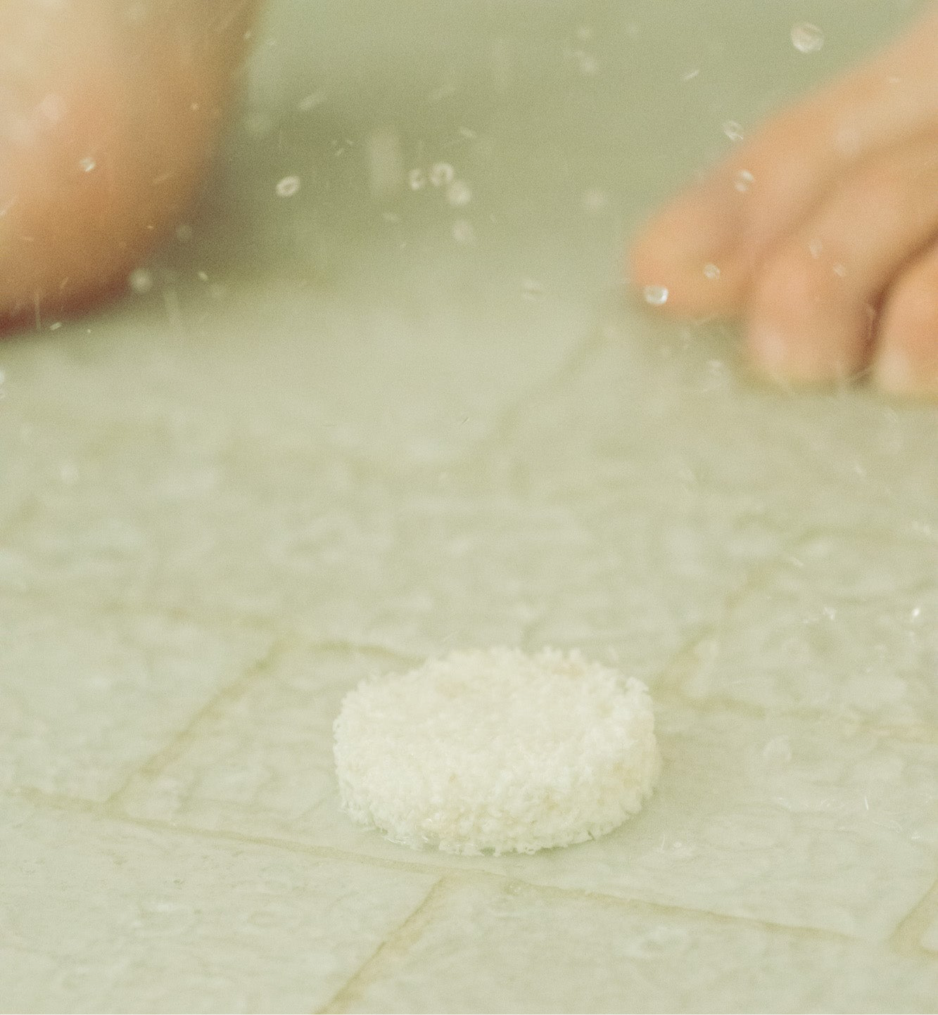 Bulk Eucalyptus Steam - Greenbriar Market + Refillery