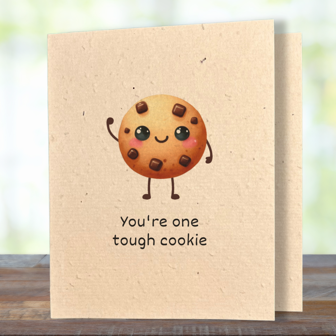 Encouragement | Plantable Wild Flower Greeting Card - Greenbriar Market + Refillery