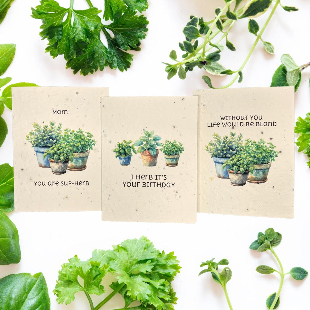 Greeting Cards with Sentiments | Plantable Herb Seed Paper - Greenbriar Market + Refillery