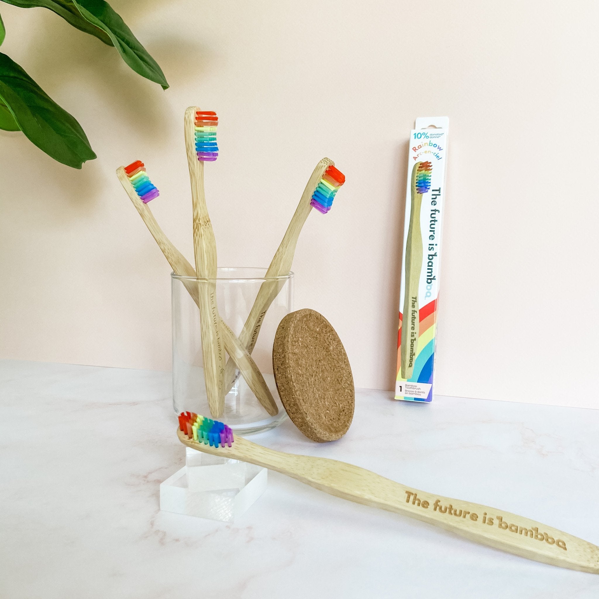 Rainbow Bamboo Toothbrush | Soft