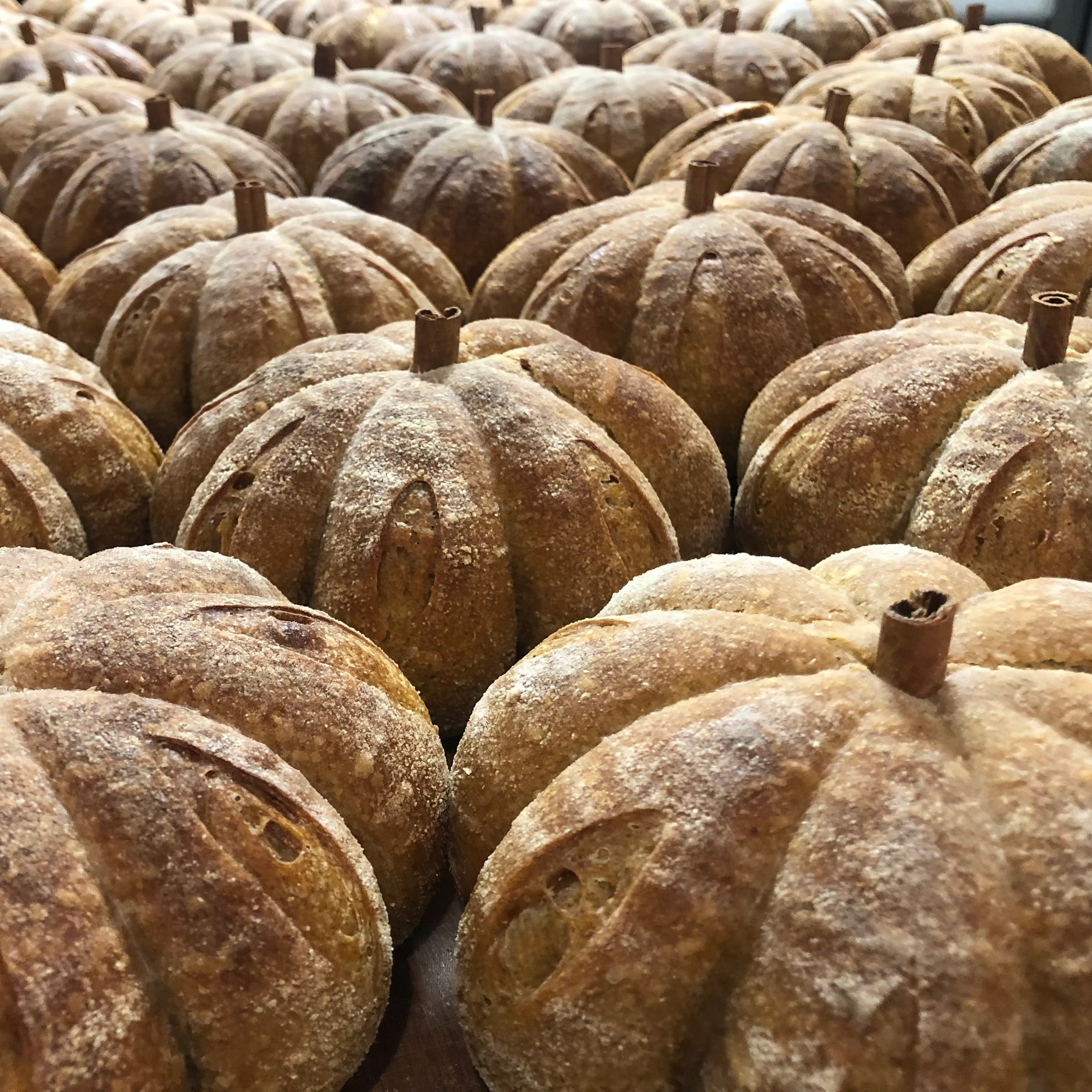 Pumpkin-shaped sourdough loaves with cinnamon stick stems at a Calgary artisan bakery