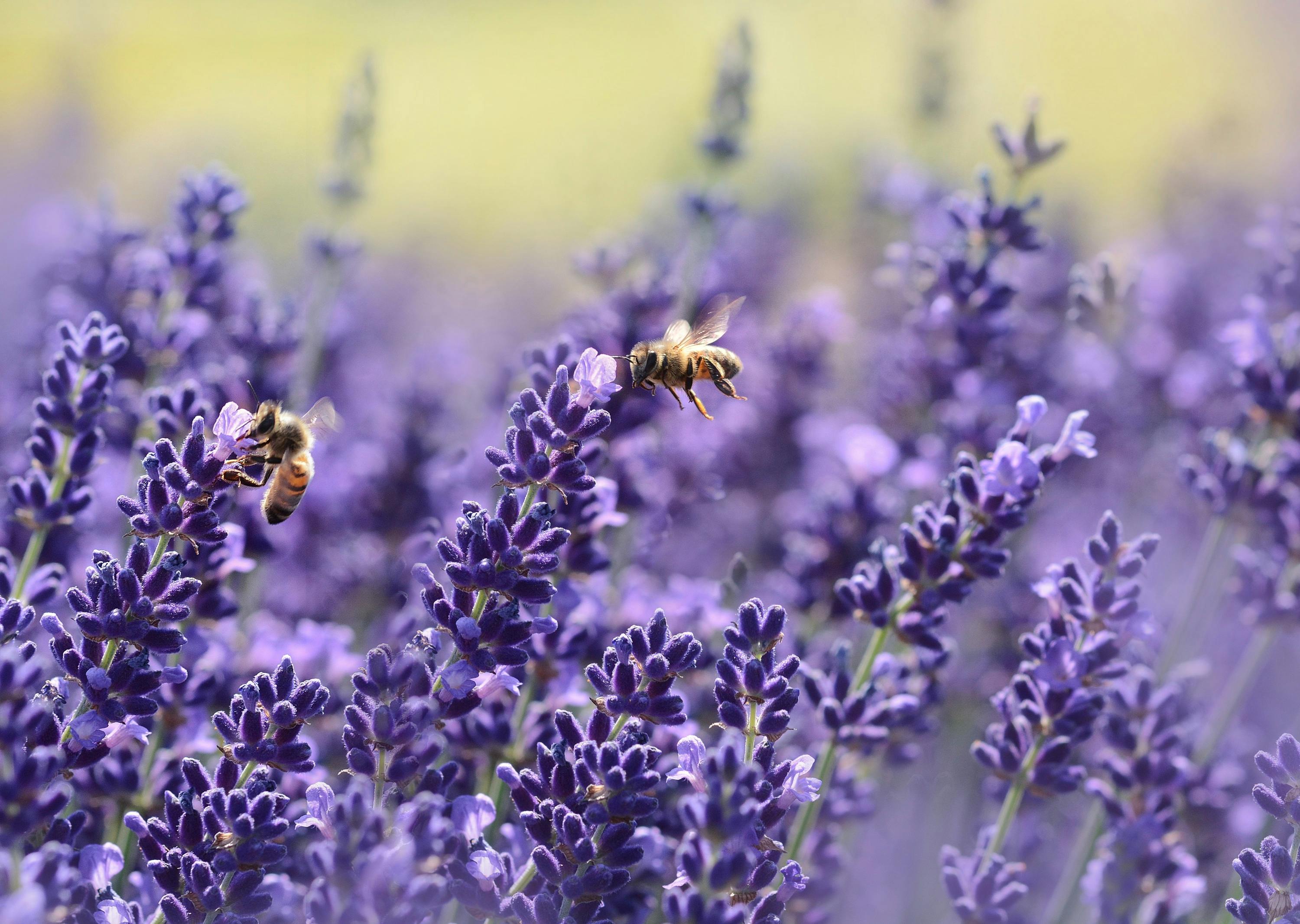 A Mother’s Work: Building a Business &amp; a Sustainable Future