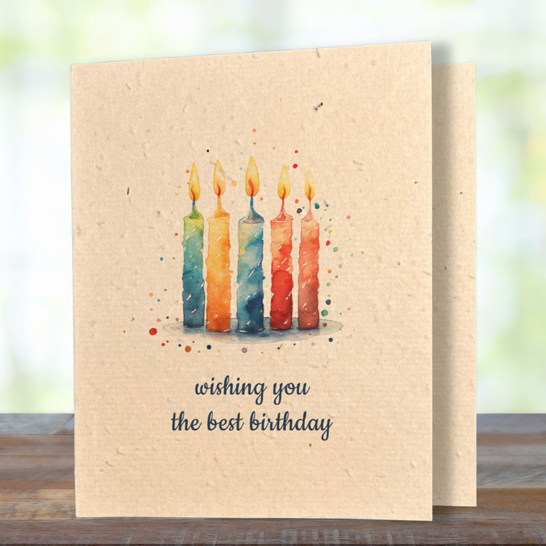 Birthday | Plantable Wild Flower Greeting Card
