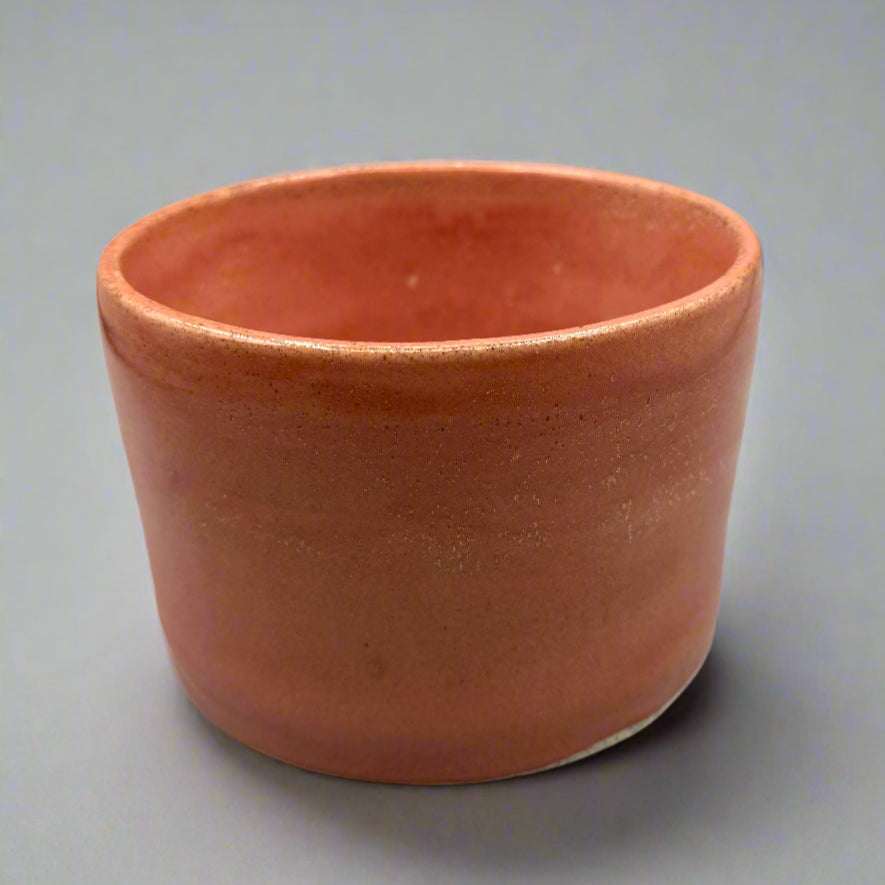 Ceramic Plant Pot - Greenbriar Market + Refillery