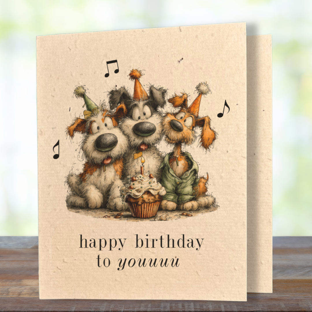 Birthday | Plantable Wild Flower Greeting Card
