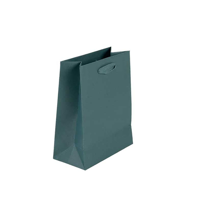 Premium Paper Gift Bag
