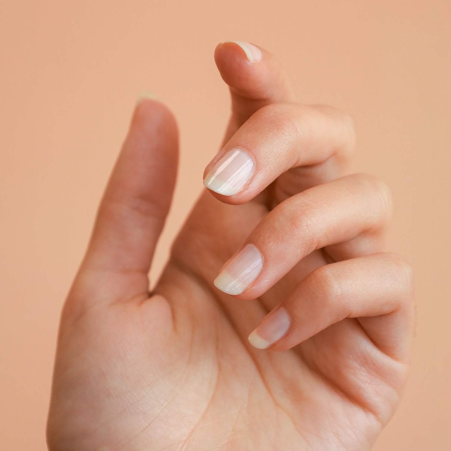 Nail Polish | French Beige