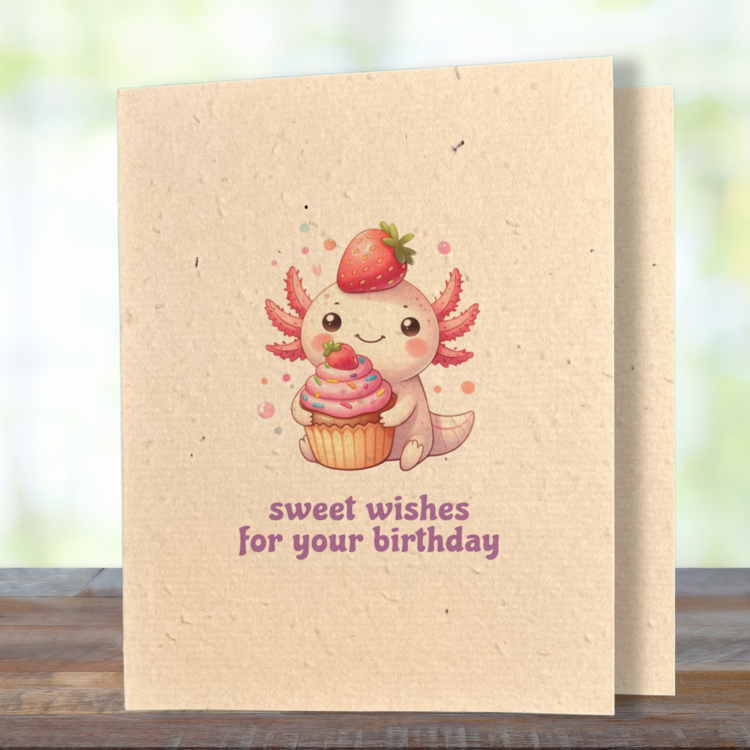 Birthday | Plantable Wild Flower Greeting Card