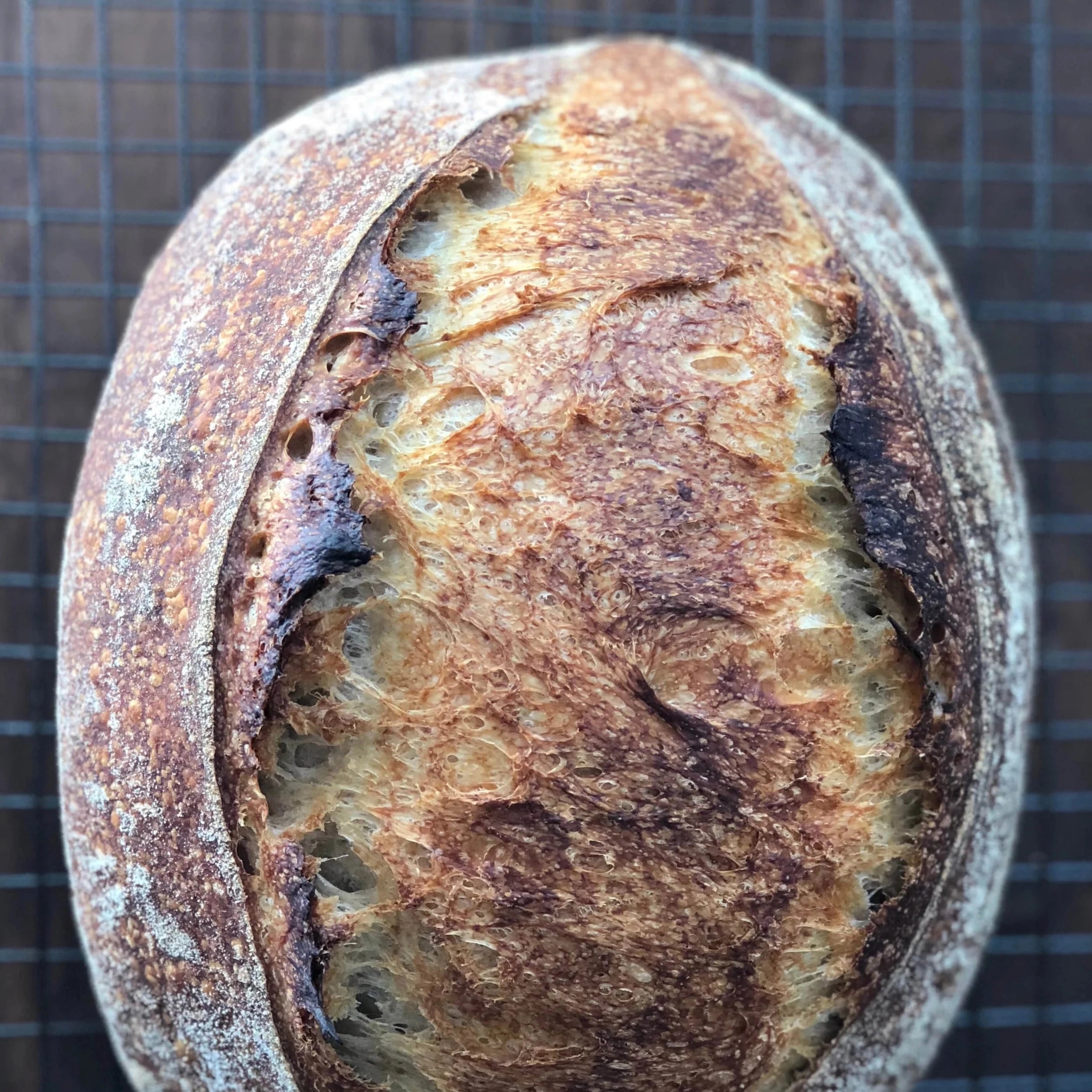 Crusty country sourdough bread loaf from Calgary’s Homestead Bread at Greenbriar Market, perfect for Friday pickup