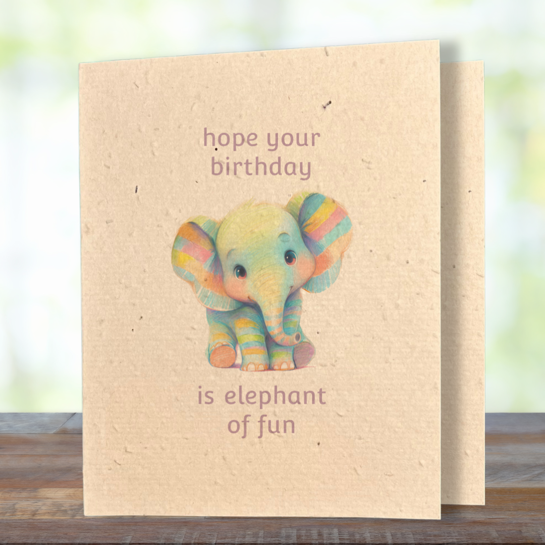 Birthday | Plantable Wild Flower Greeting Card