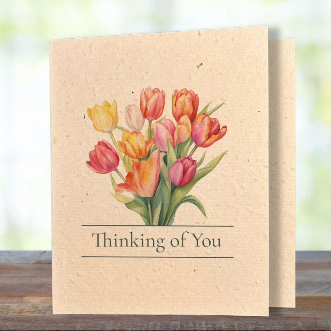 Greeting Cards with Sentiments | Plantable Wild Flower Seed Paper - Greenbriar Market + Refillery