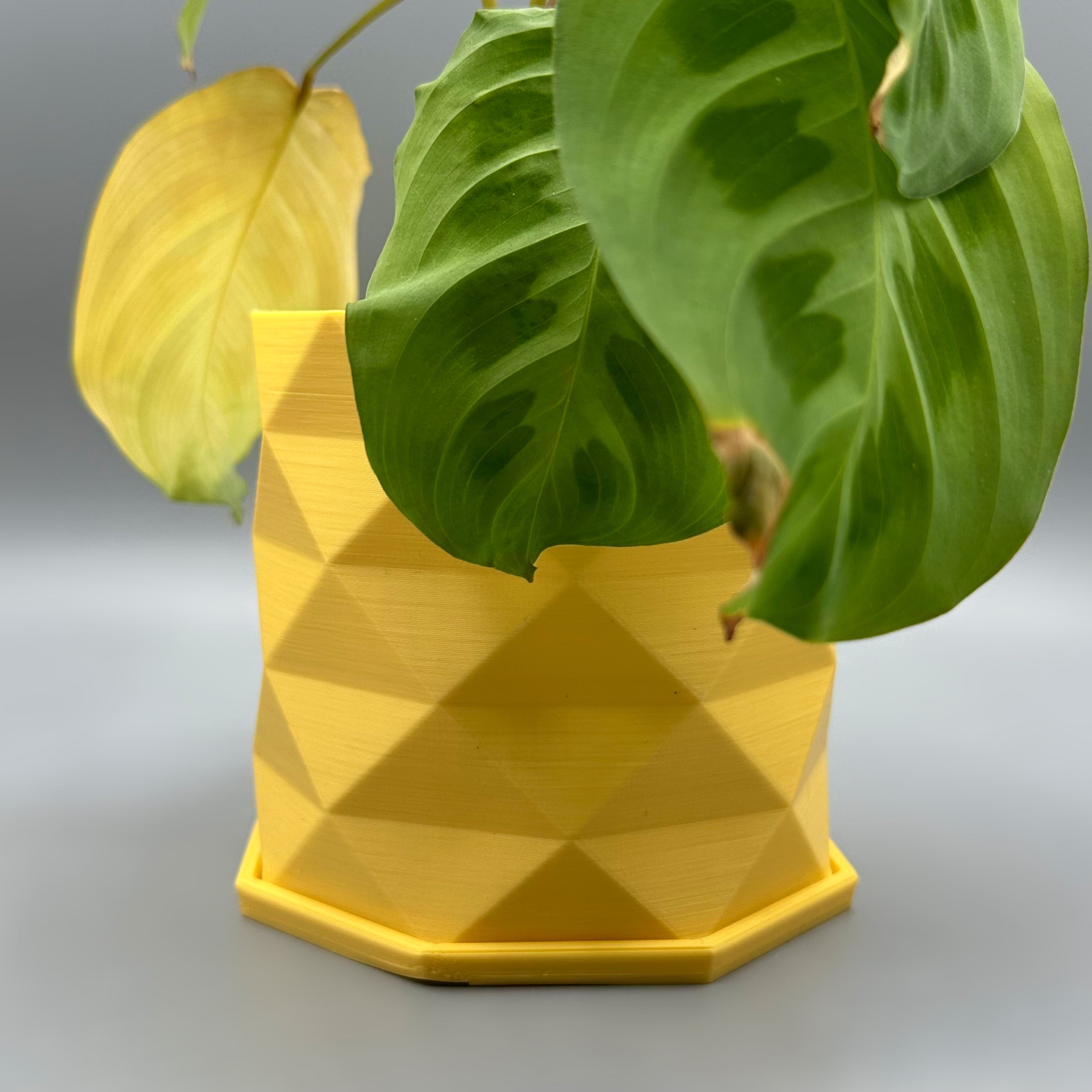 Houston | Self Watering Planter - Greenbriar Market + Refillery