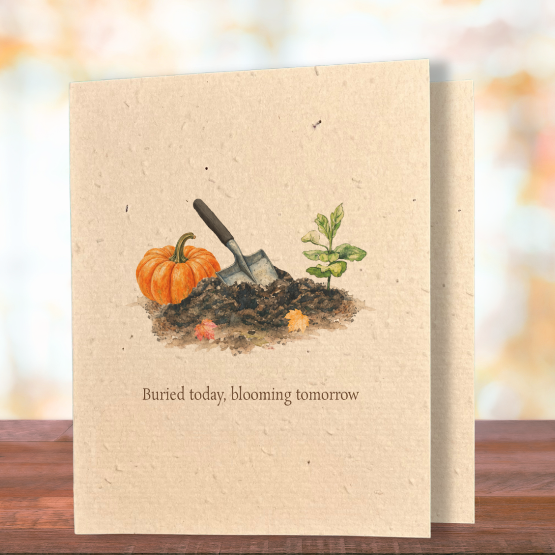Halloween | Plantable Wild Flower Greeting Card - Greenbriar Market + Refillery