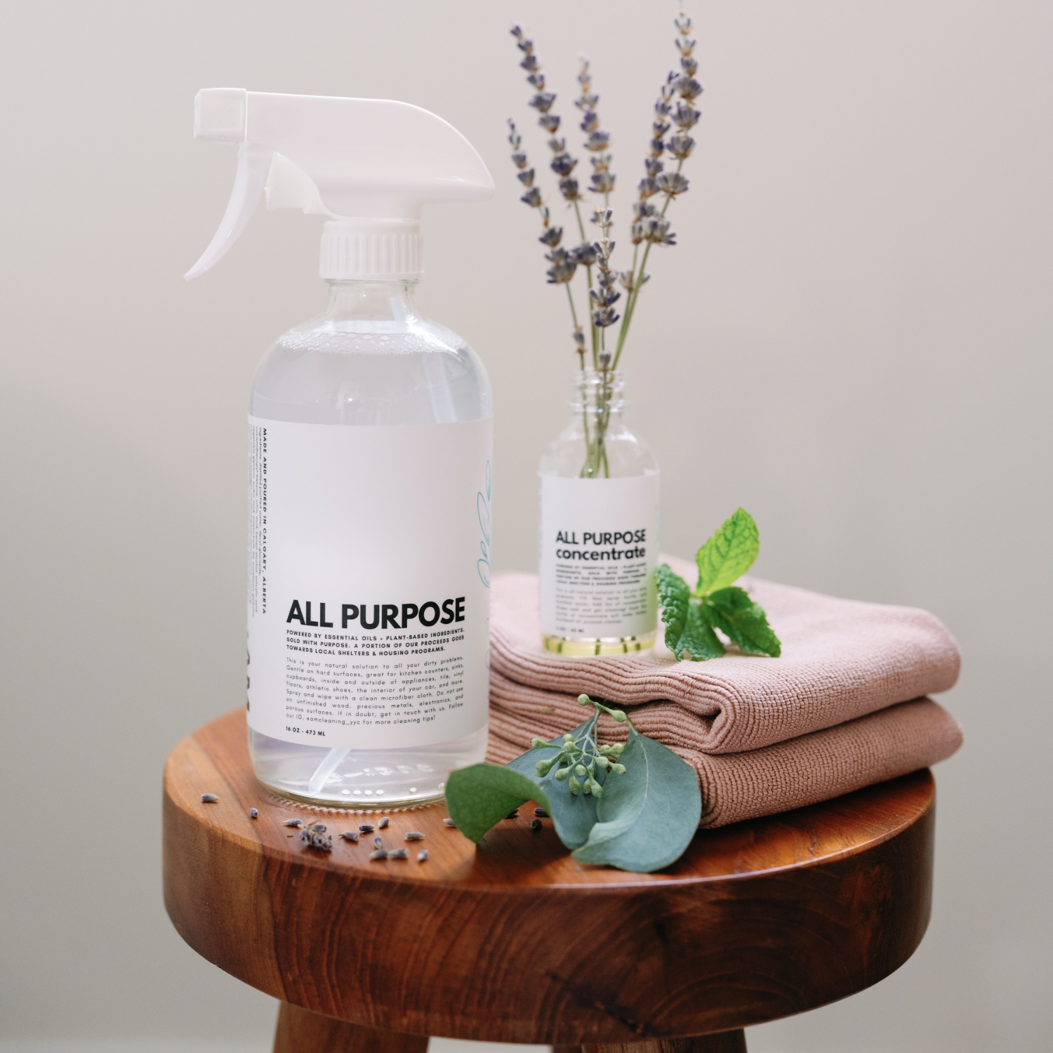 All Purpose Cleaner - Greenbriar Market + Refillery