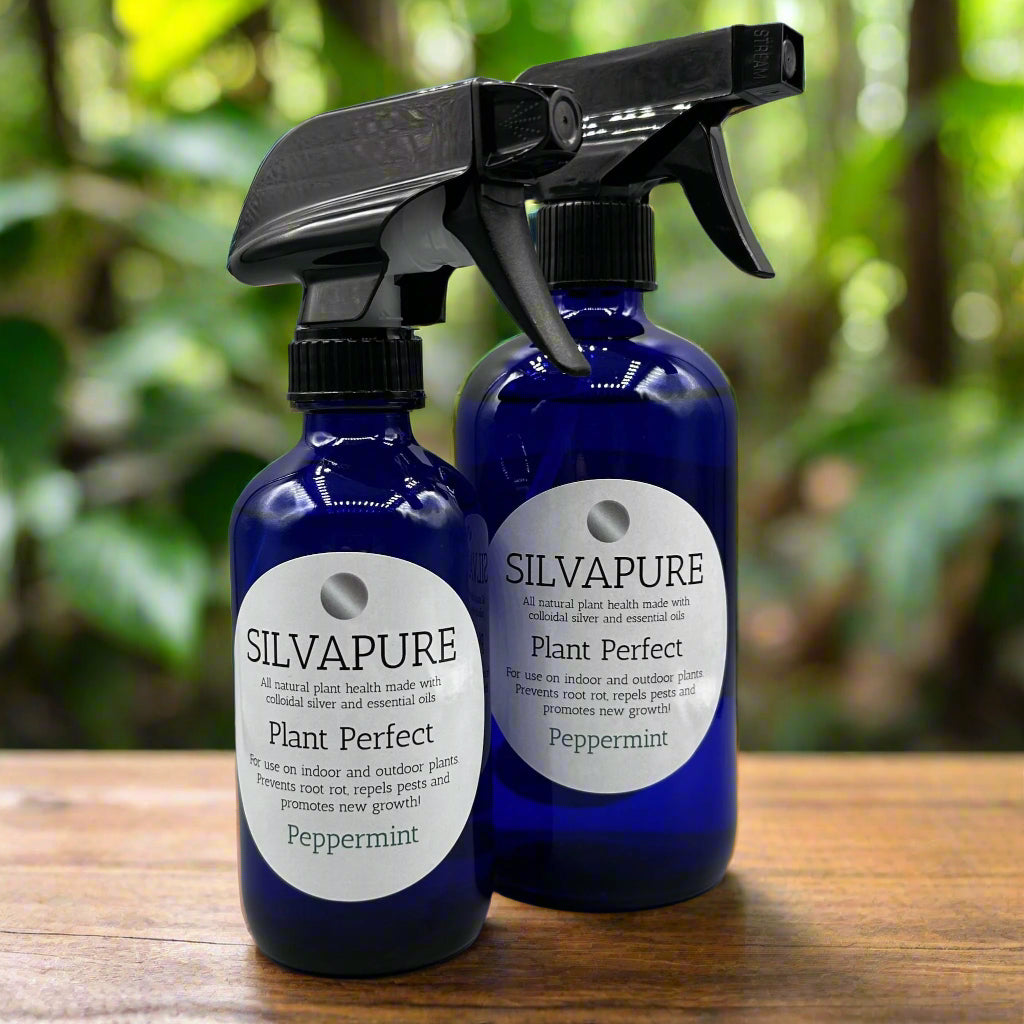 Silvapure Plant Perfect Pre-Pack 