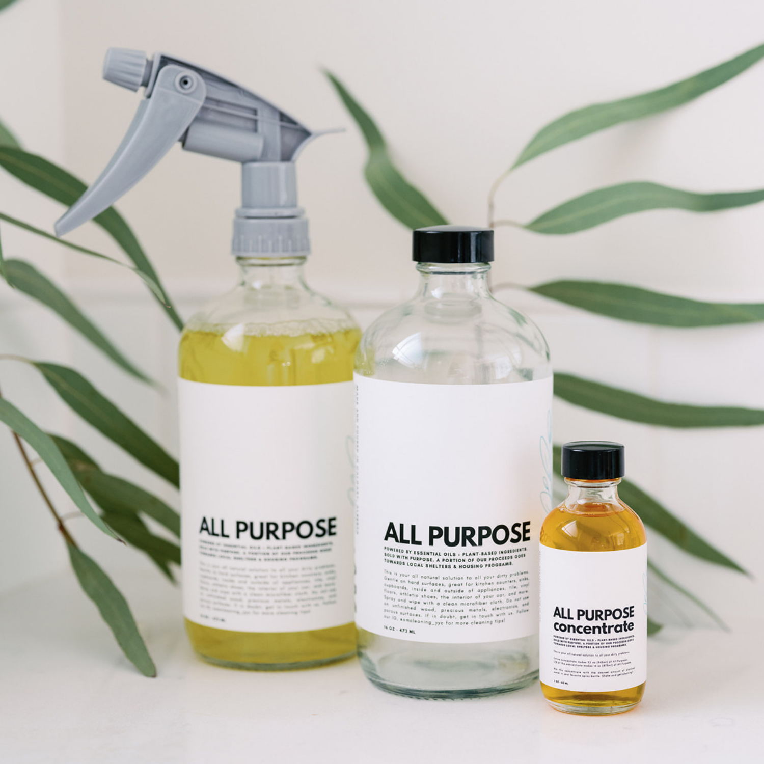 All Purpose Concentrate