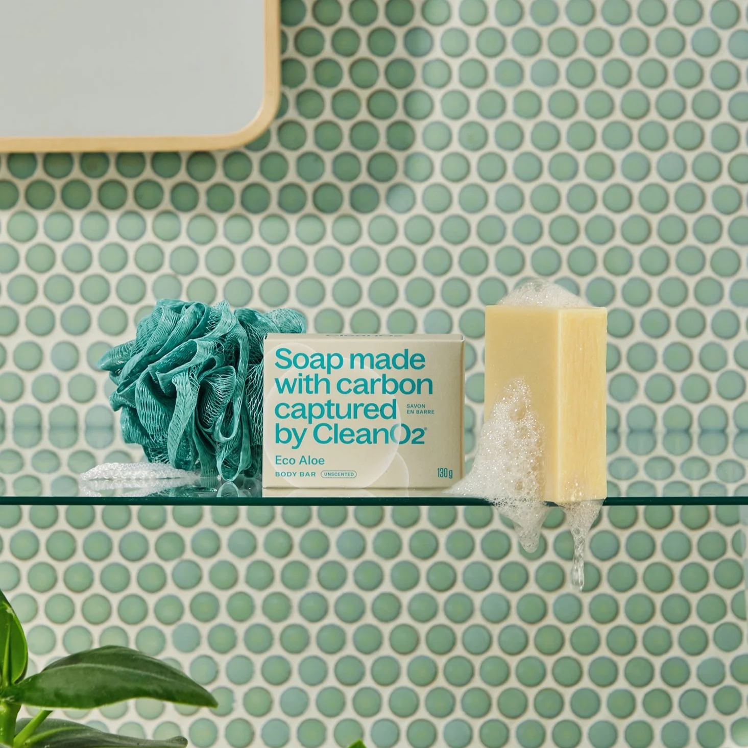 Carbon Capture Soap | Eco Aloe - Greenbriar Market + Refillery