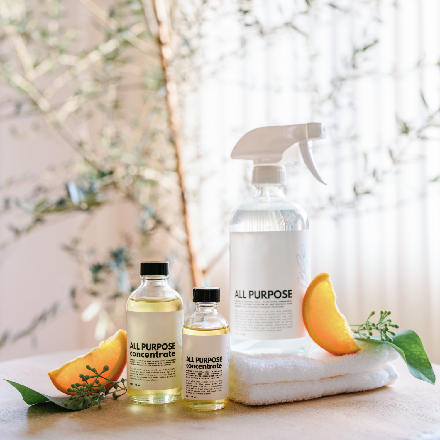 Three All Purpose Concentrate bottles with orange slices and greenery