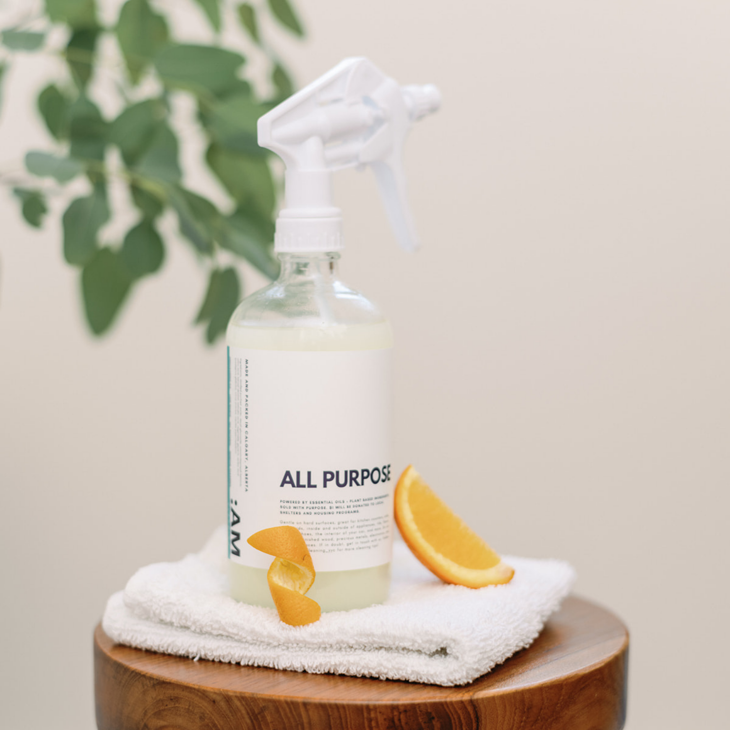 All Purpose Cleaner