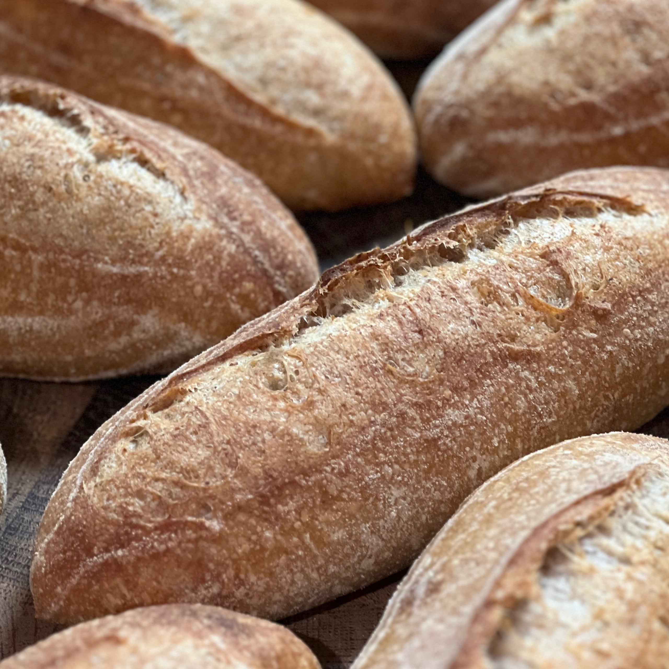 Country-style demi sourdough baguettes from Homestead Bread in Calgary, available to pre-order weekly at Greenbriar Market