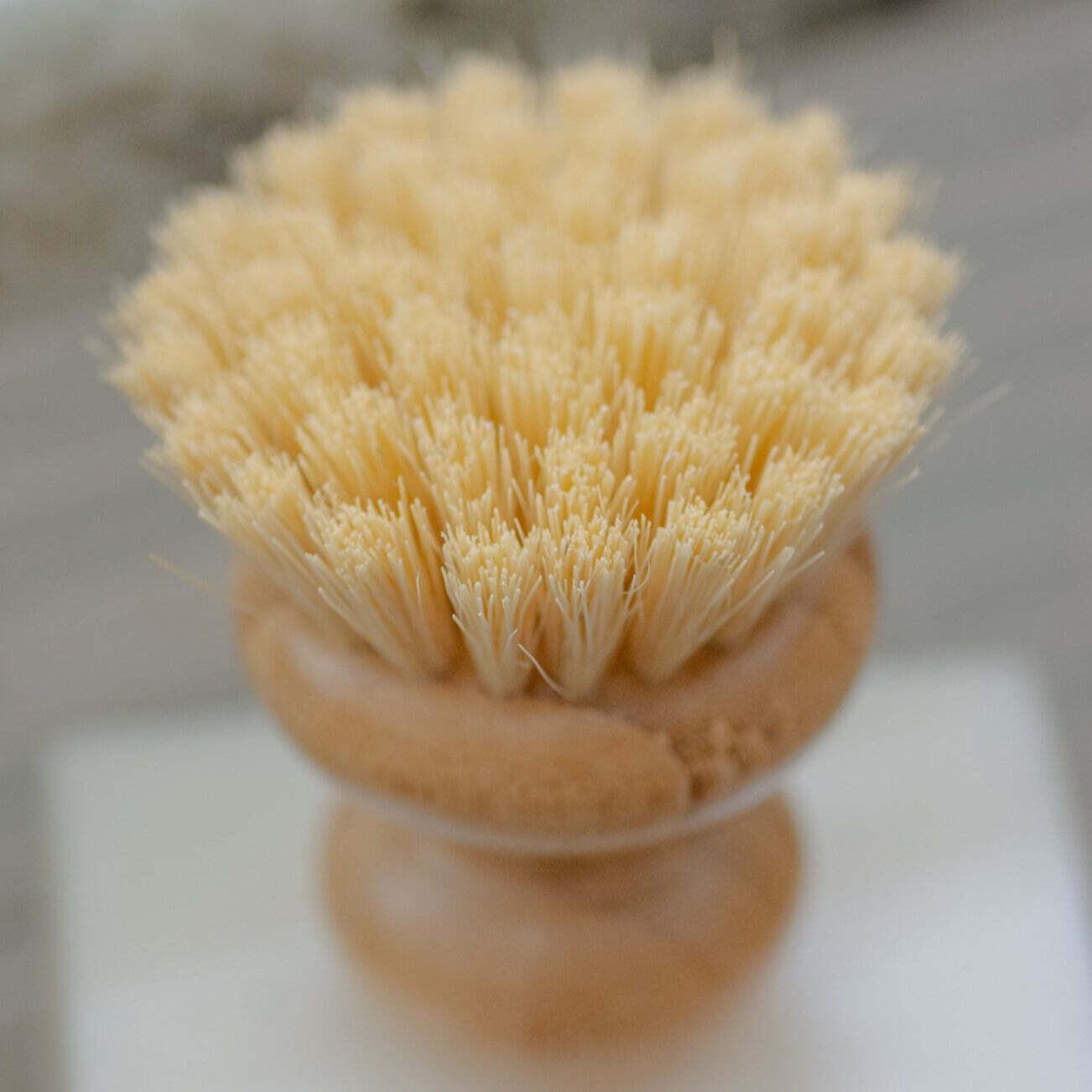 Casa Agave™ Dish Brush - Greenbriar Market + Refillery