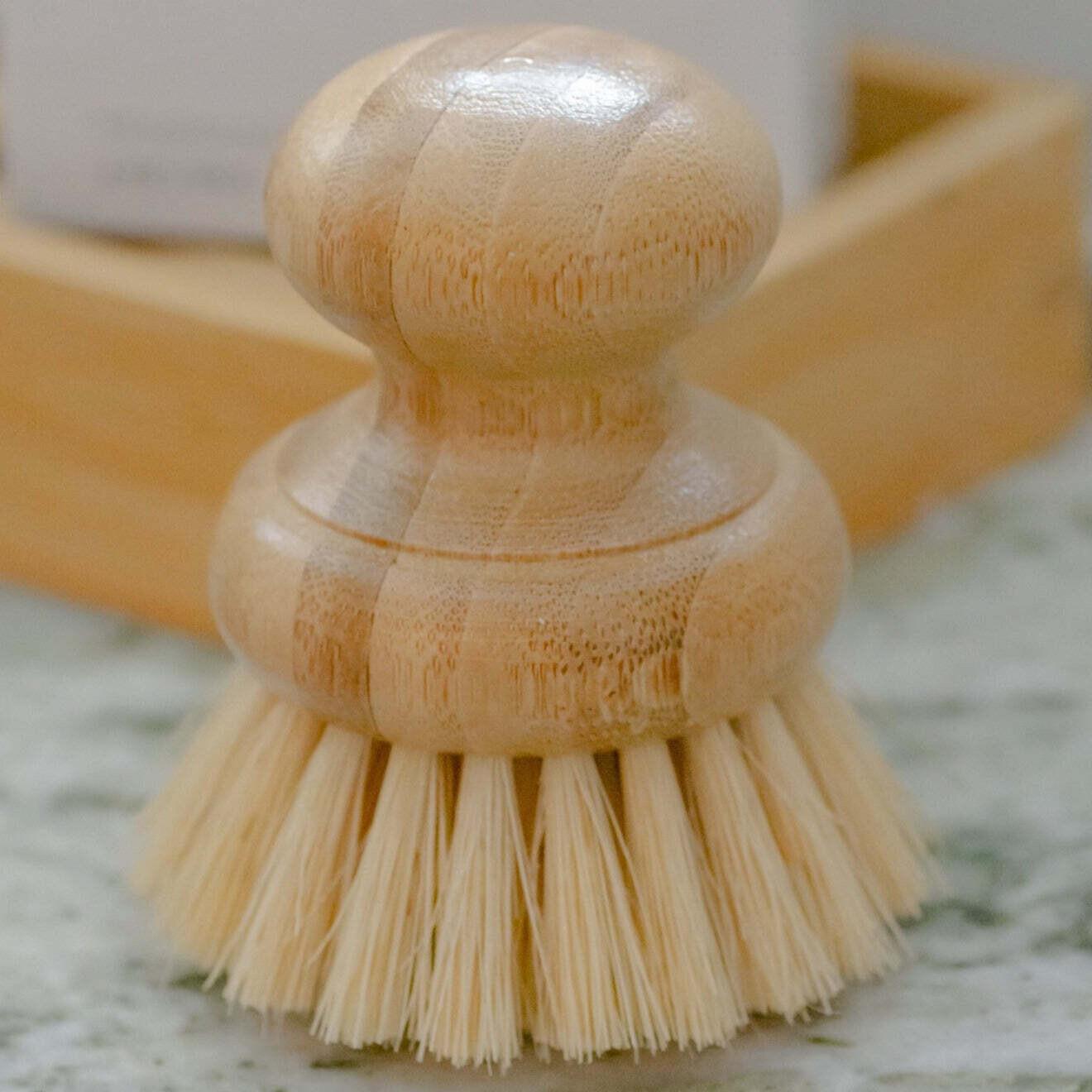 Casa Agave™ Dish Brush