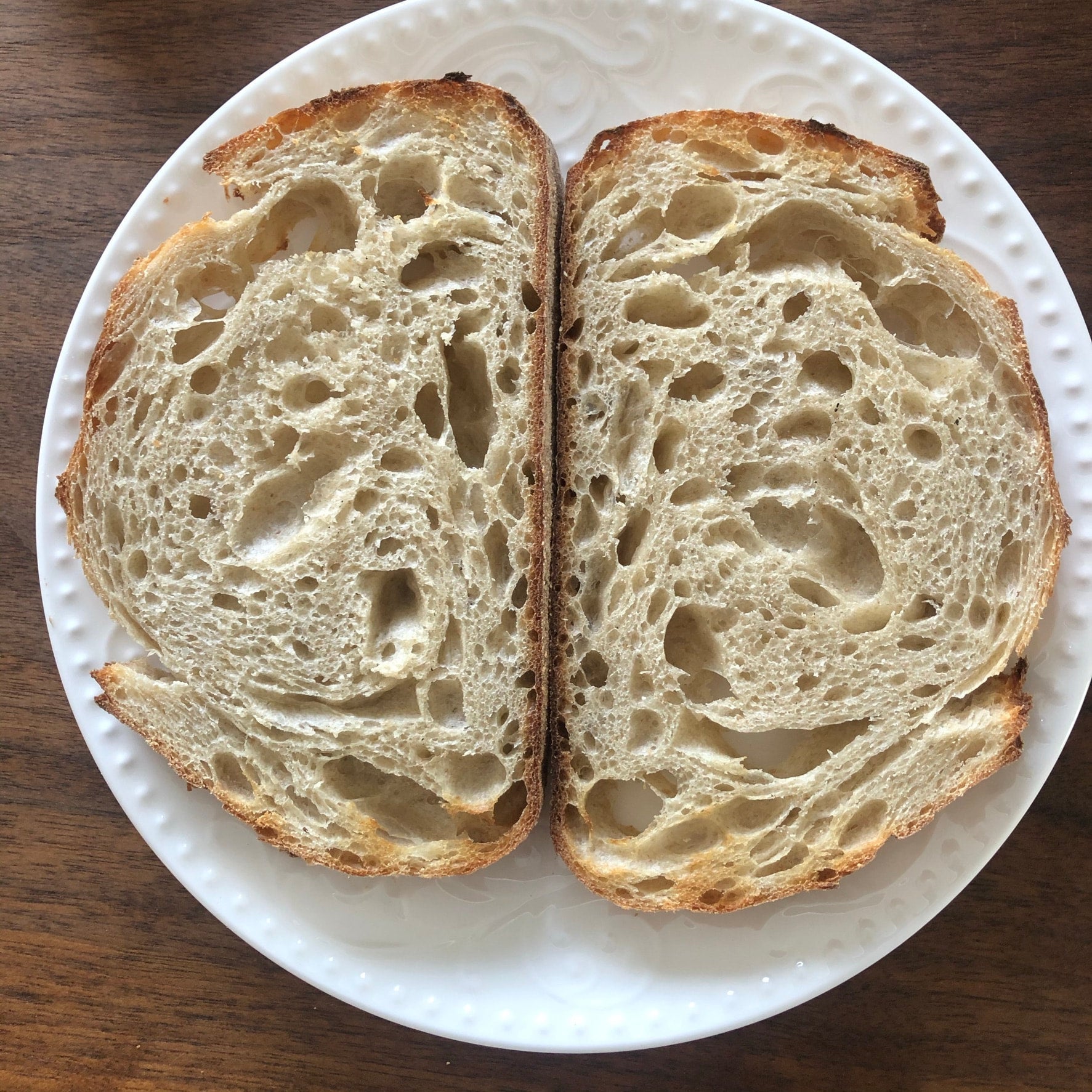 Farmer’s Loaf Sourdough with open crumb, baked by Homestead Bread in Calgary and available for Friday pickup at Greenbriar Market