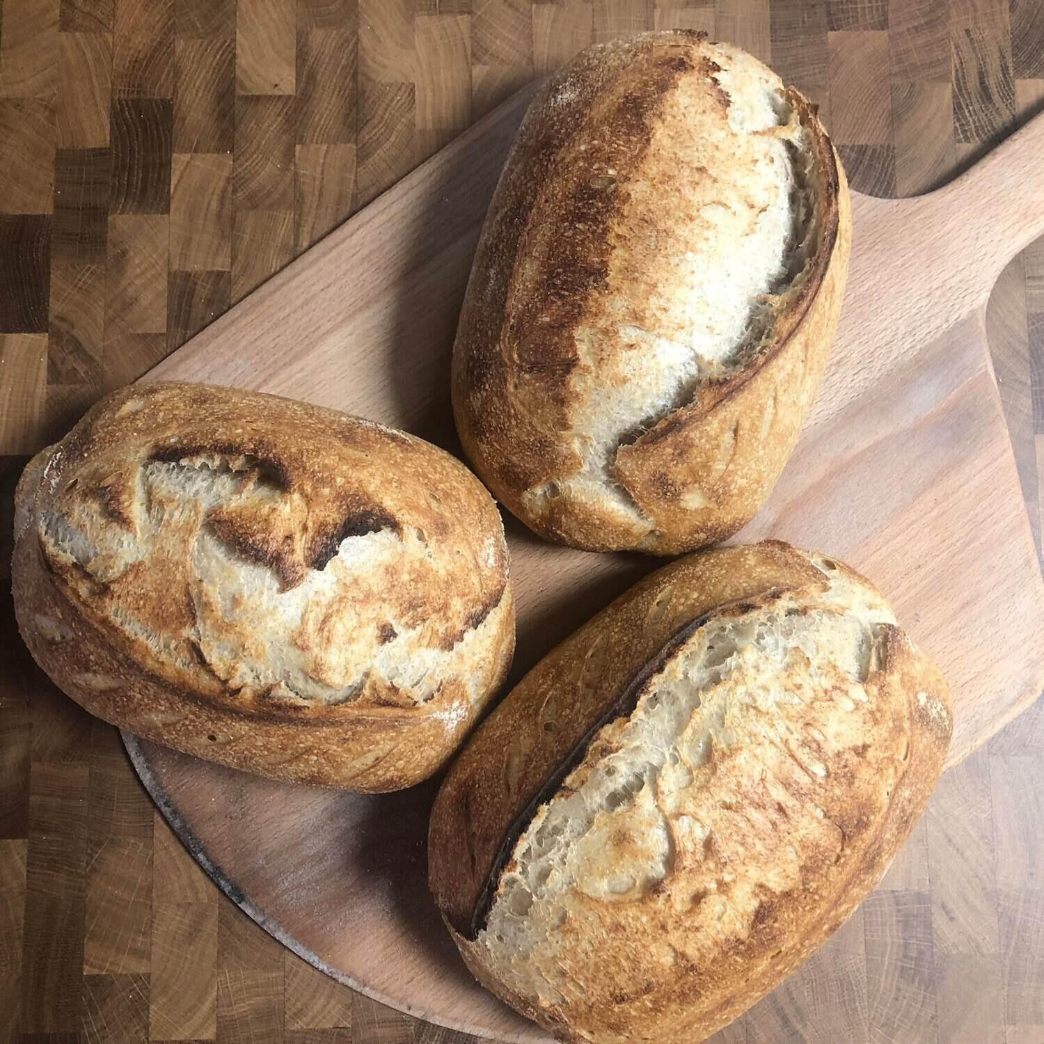 Artisan sourdough loaves from Homestead Bread in Calgary, available to pre-order weekly at Greenbriar Market