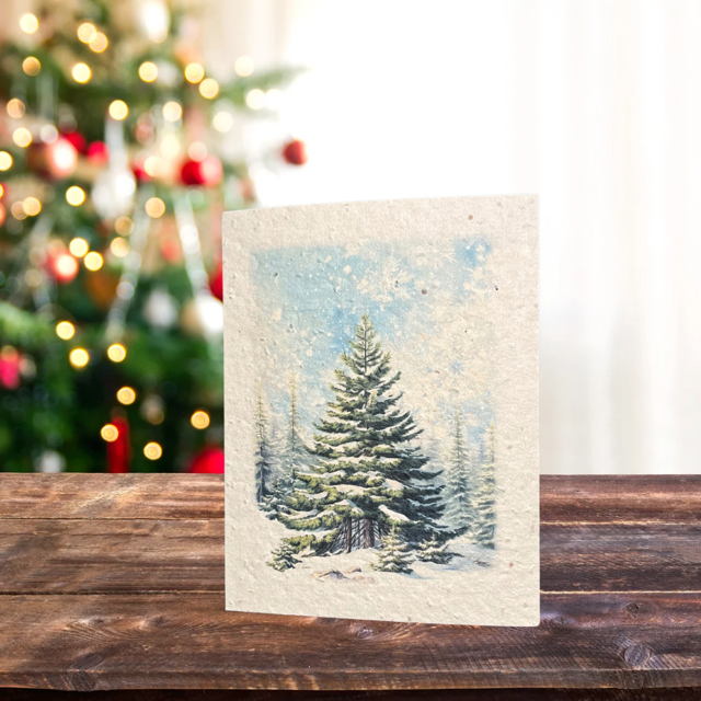 Christmas Greeting Card | Plantable Flower Seed Paper - Greenbriar Market + Refillery